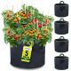 Garnen 10 Gallon Garden Grow Bag with Handles - 5 Pack - Black/Green